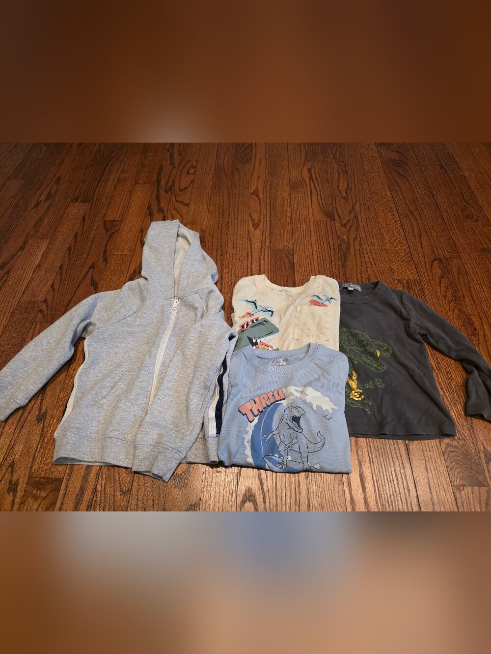 Kids Dinosaur Theme Shirts